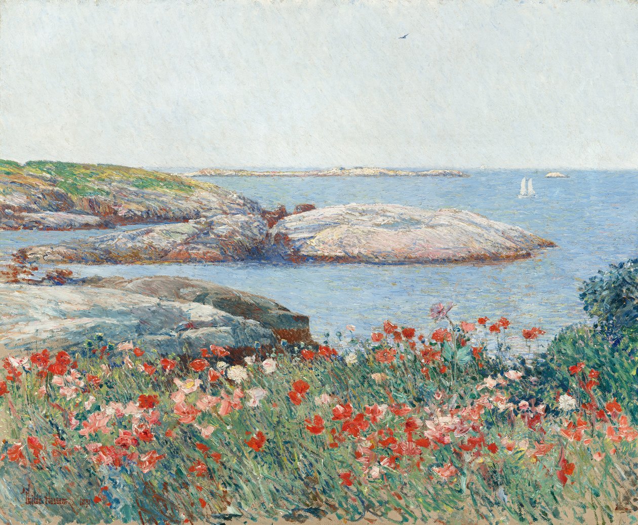 Coquelicots, îles de Shoals - Childe Hassam