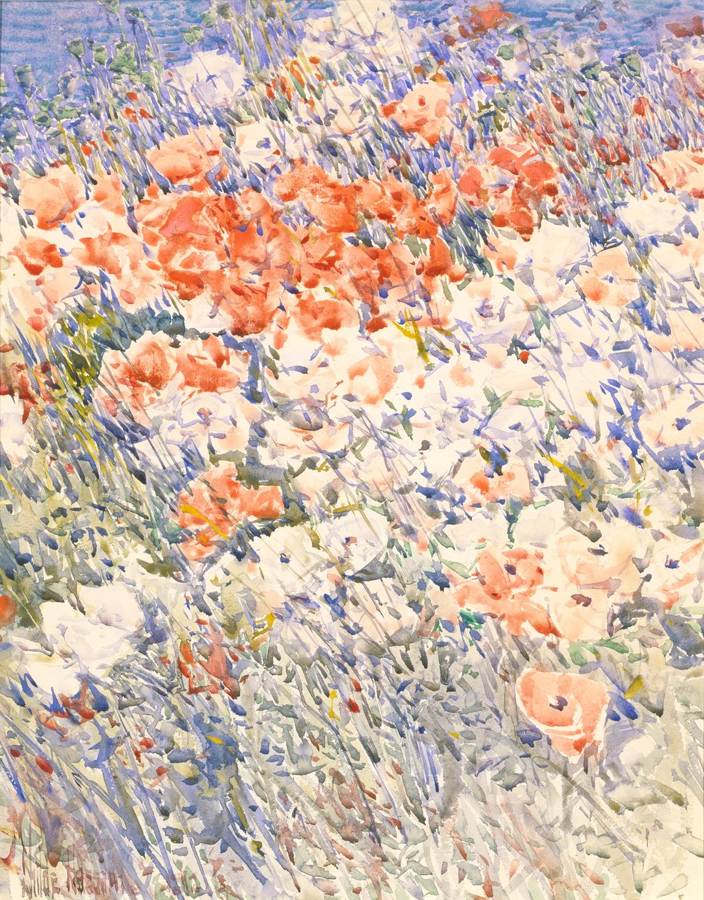 Le jardin de l