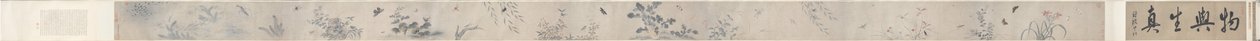Insectes et fleurs - China, Qing dynasty