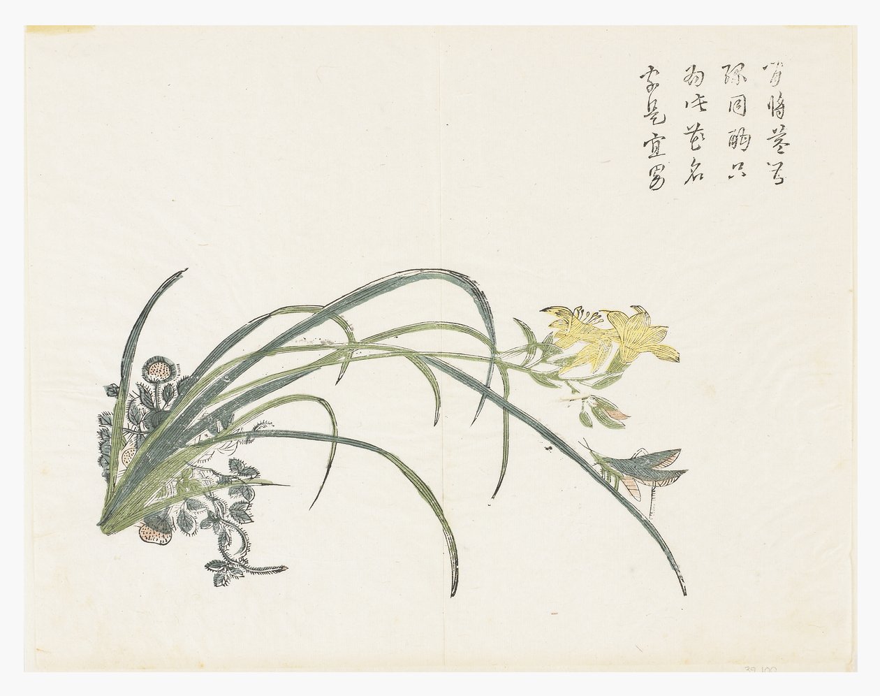 Jardin de graines de moutarde - Chinese School