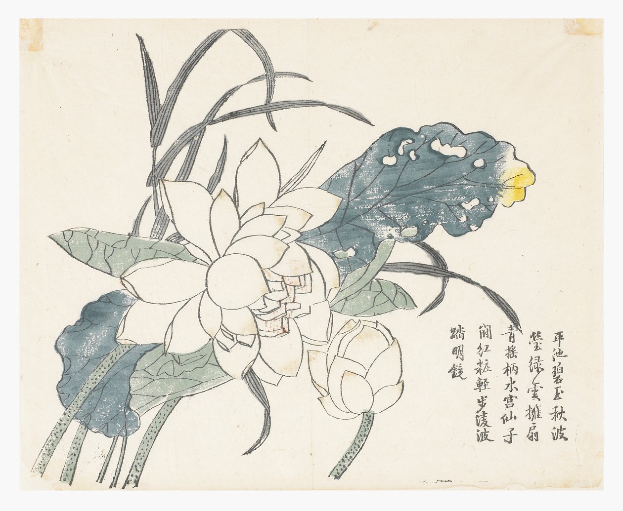 Jardin de la graine de moutarde - Chinese School