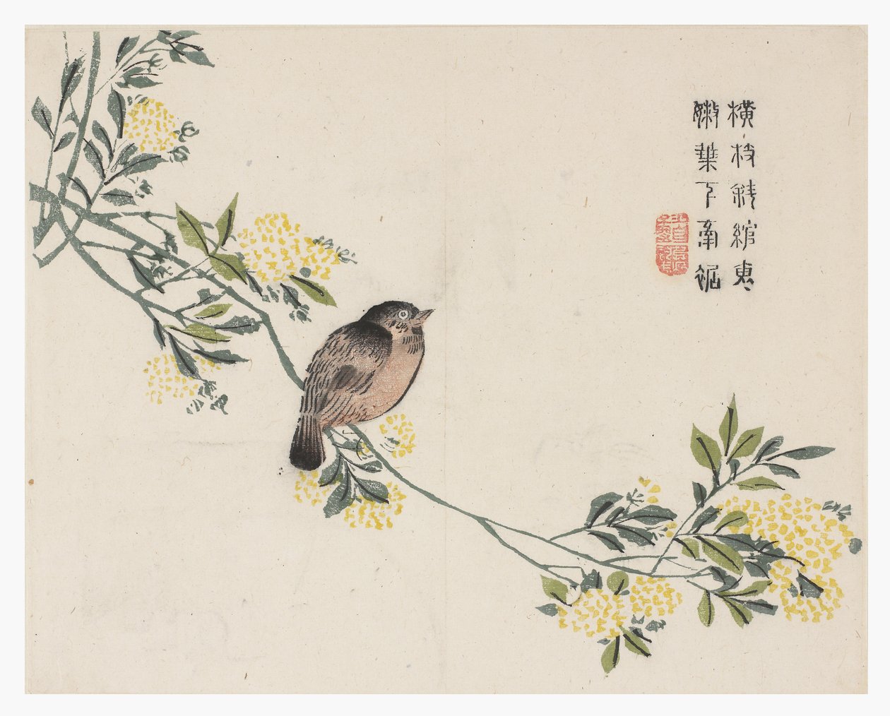 Jardin de la graine de moutarde - Chinese School