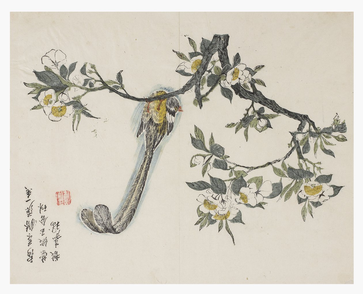 Jardin de la graine de moutarde - Chinese School