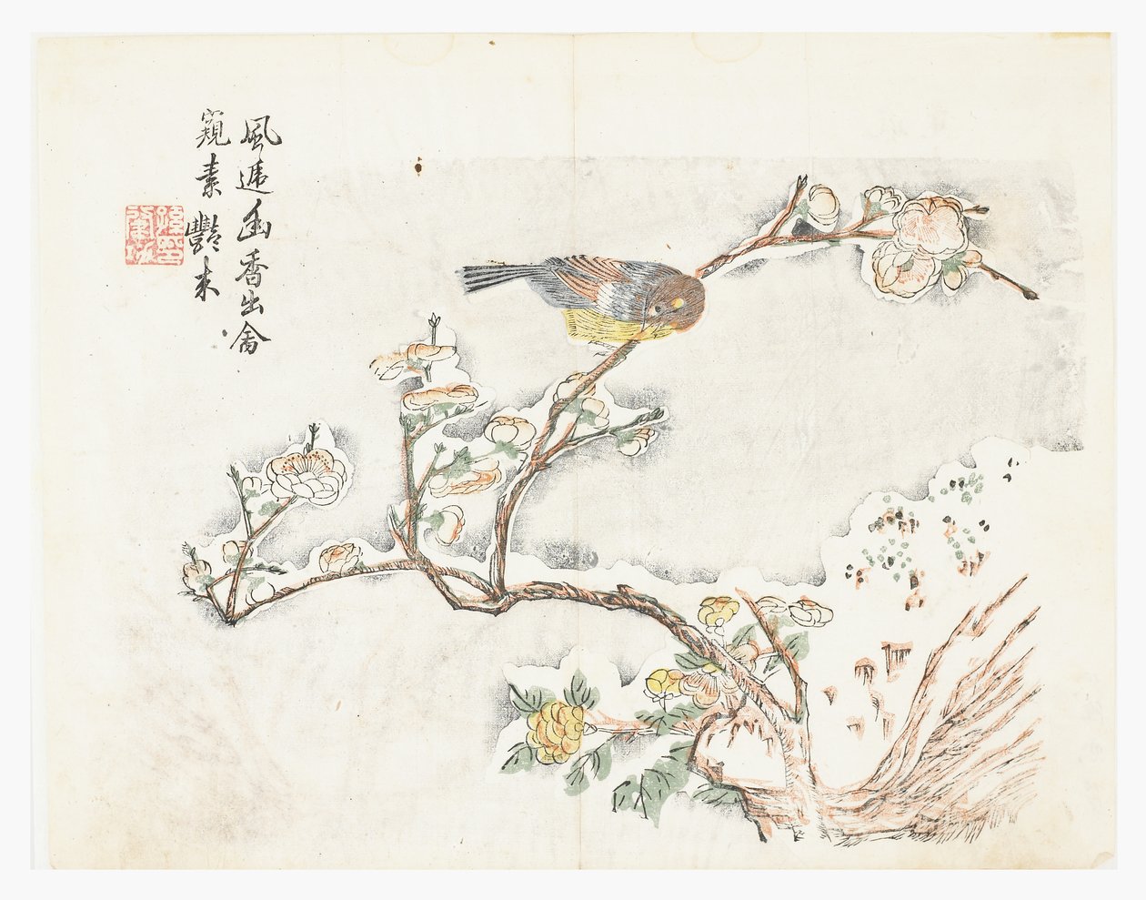 Jardin de graines de moutarde - Chinese School