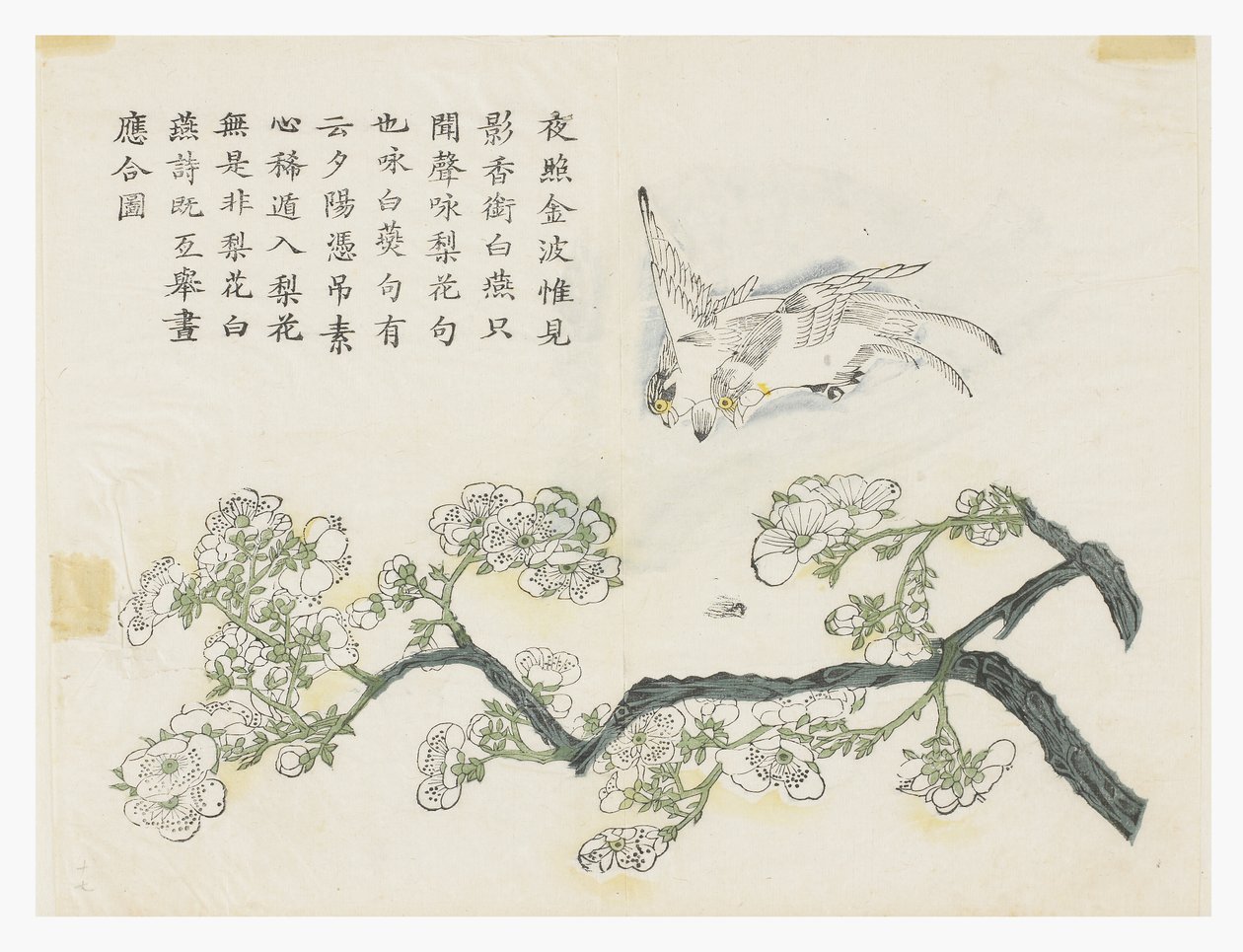 Jardin de graines de moutarde - Chinese School