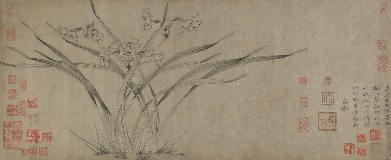 Narcisse, dynastie Song - Chinese School