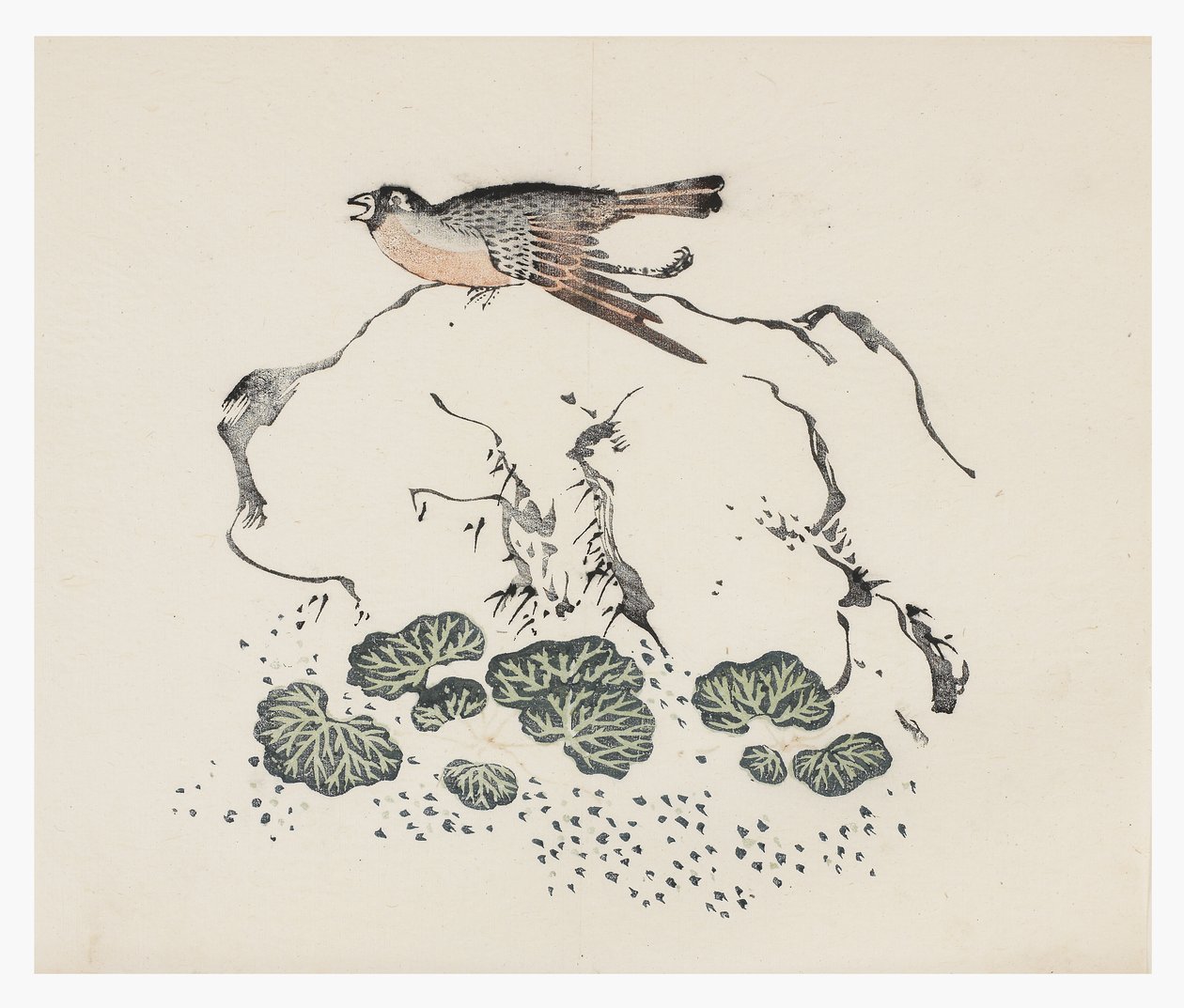 Série des Dix Bambous, XVIIIe siècle - Chinese School