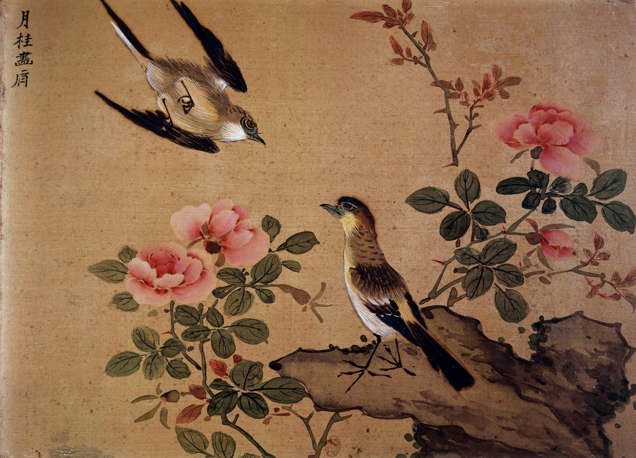 Image inconnue - Chinese School