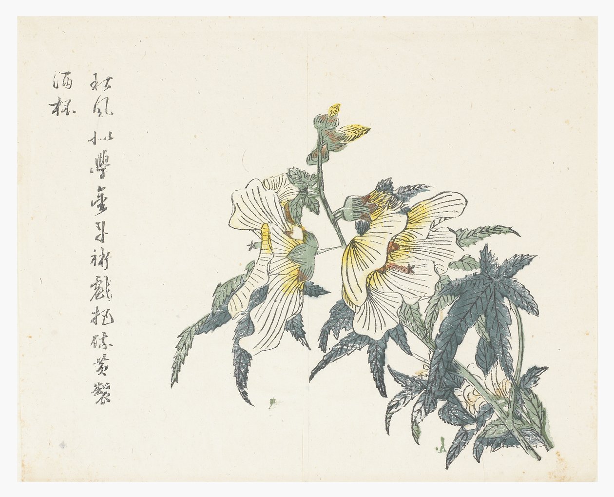 Jardin de la graine de moutarde - Chou Huang (after)