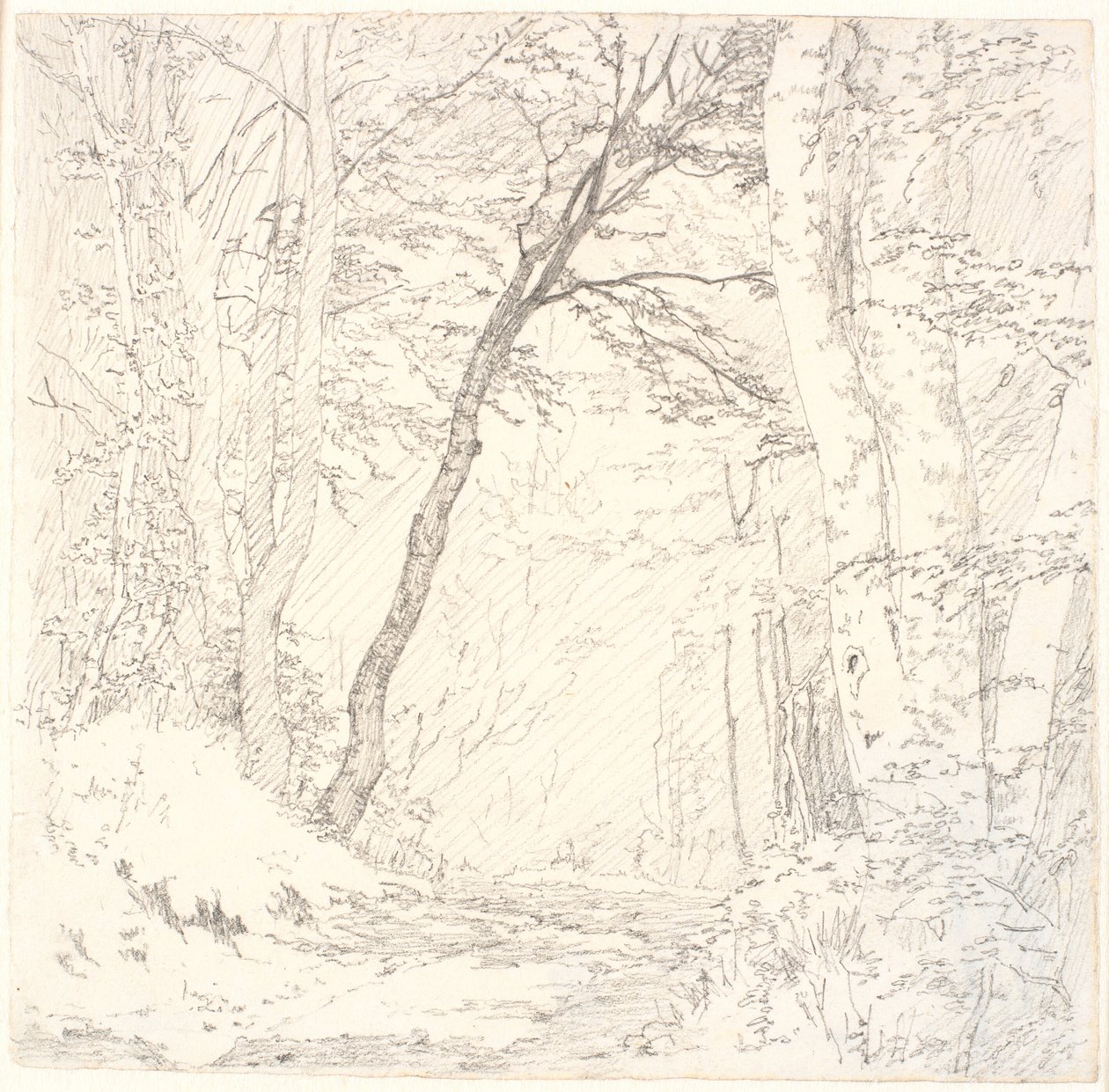 Chemin à travers une forêt - Christen Købke