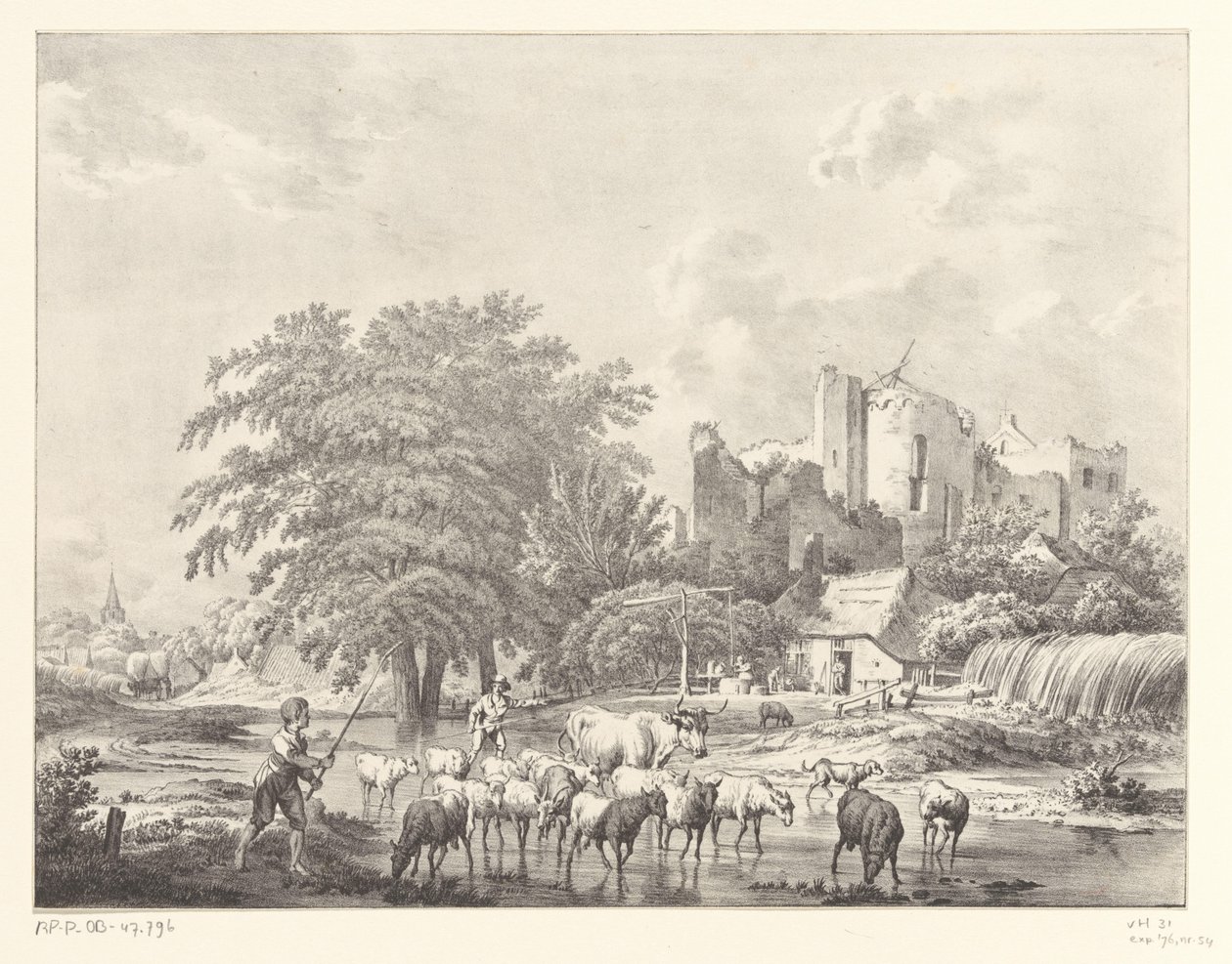 Troupeau de bétail près des ruines du château de Brederode - Christiaan Josi