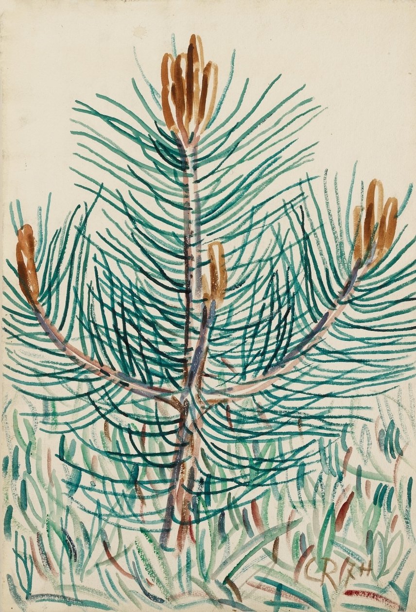 Jeune pin à Hetschburg - Christian Rohlfs