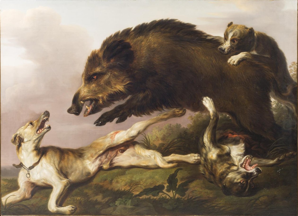 Chasse au sanglier - Christian David Gebauer