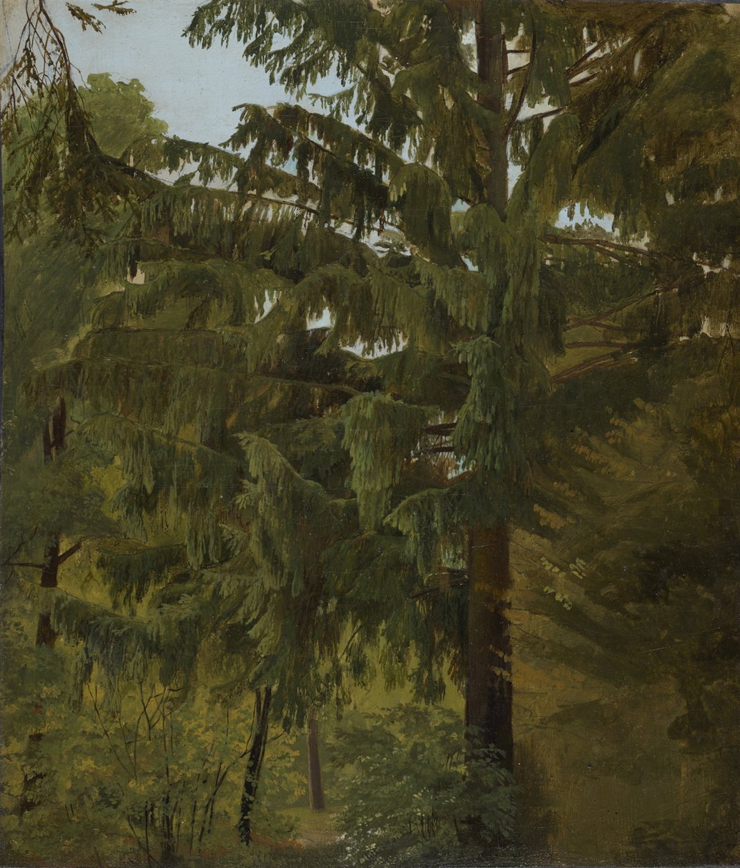 Sapin dans une forêt de feuillus - Christian Friedrich Gille