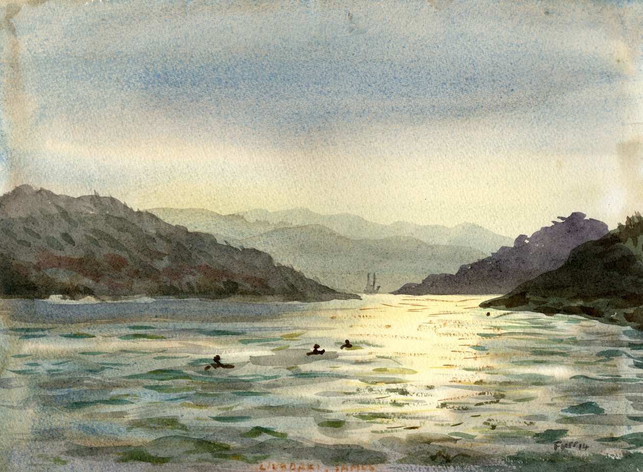 Mer dorée - Christian Furr