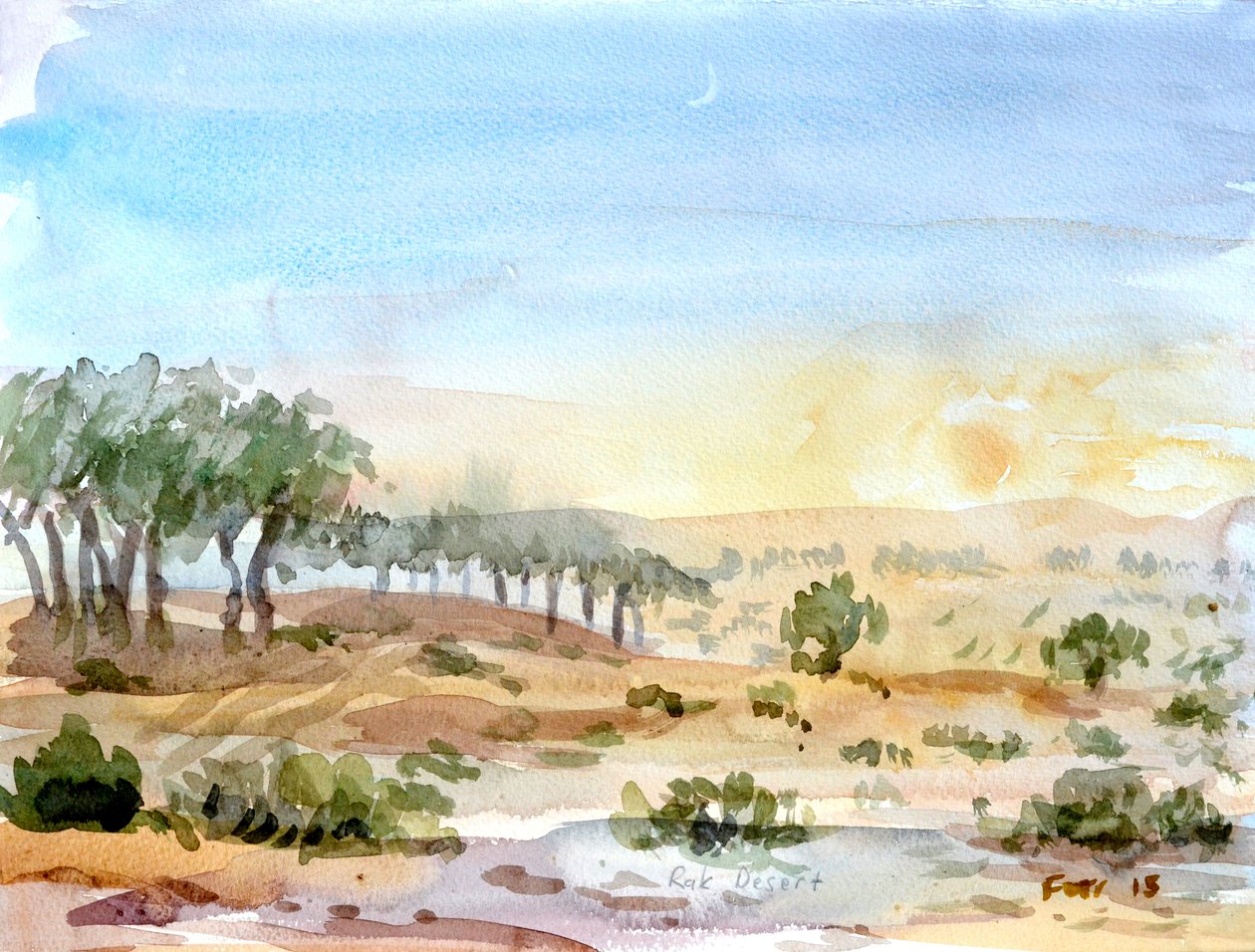 Désert de Rak, 2016 - Christian Furr