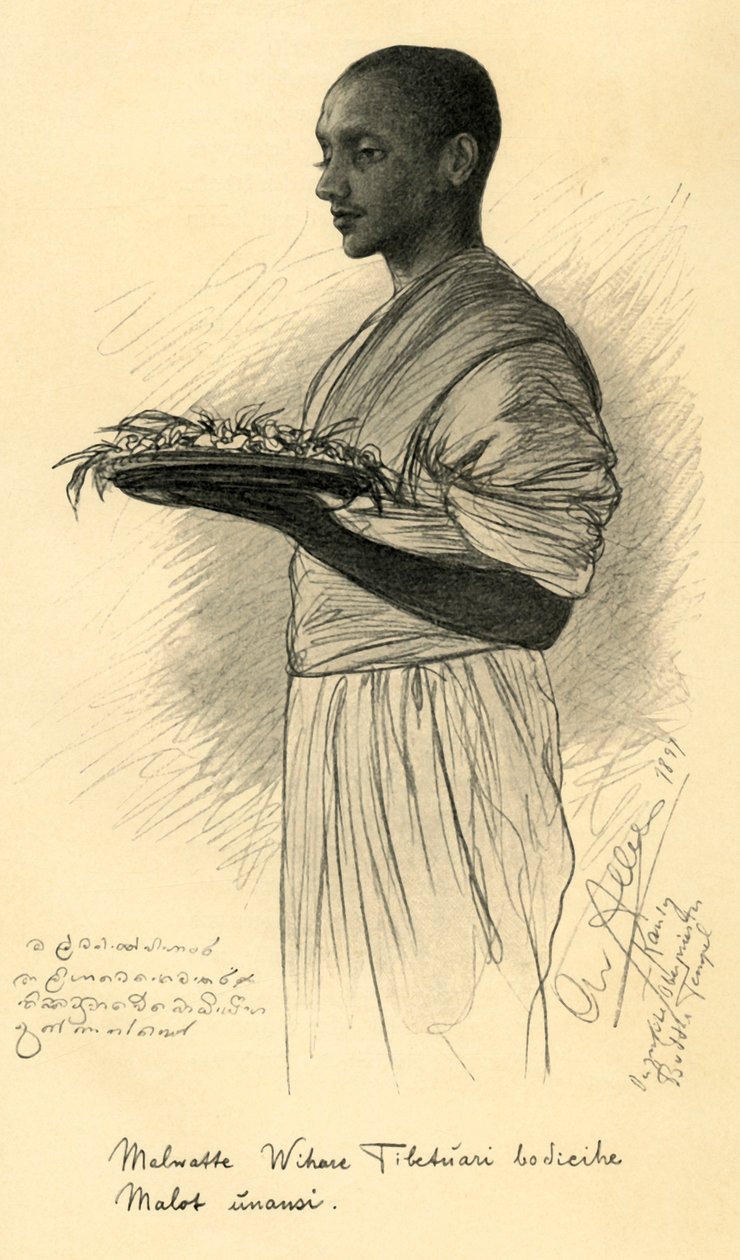 Moine bouddhiste, Ceylan, 1898 - Christian Wilhelm Allers