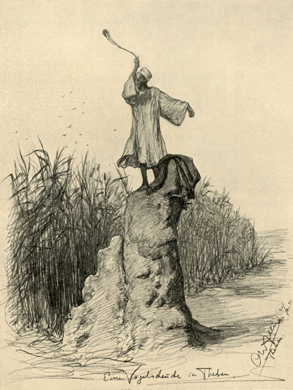 Homme effrayant les oiseaux, Thèbes, Égypte, 1898 - Christian Wilhelm Allers