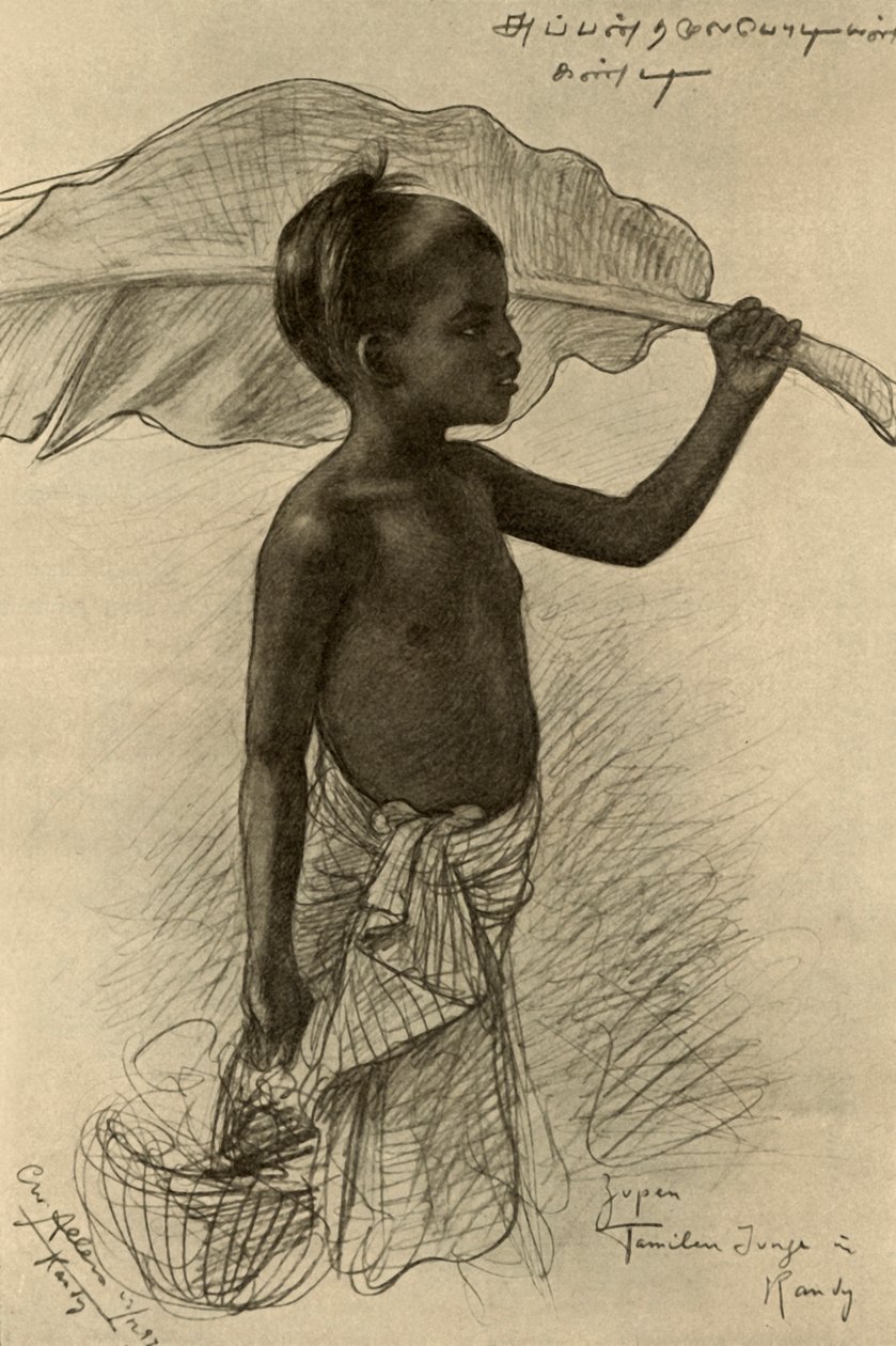 Garçon tamoul, Kandy, Ceylan, 1898 - Christian Wilhelm Allers