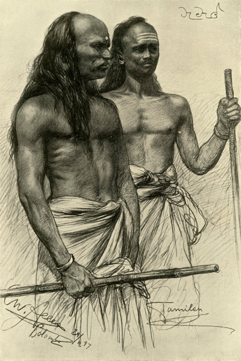 Hommes tamouls, Colombo, Ceylan - Christian Wilhelm Allers