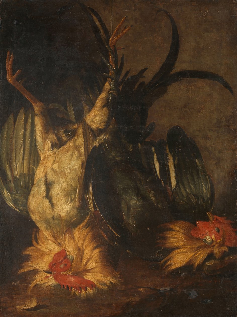 Coqs morts - Christoffel Puytlinck