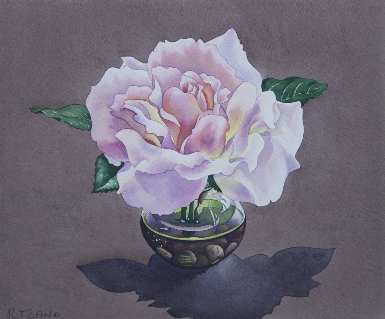 Portrait de Rose - Christopher Ryland