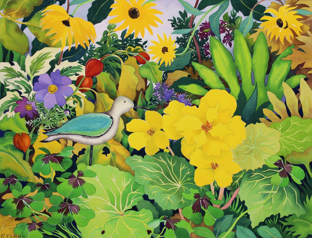 Jardin d