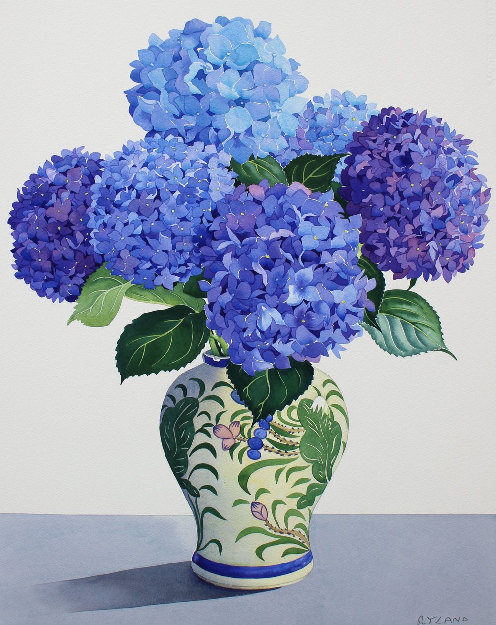Hortensias bleus - Christopher Ryland