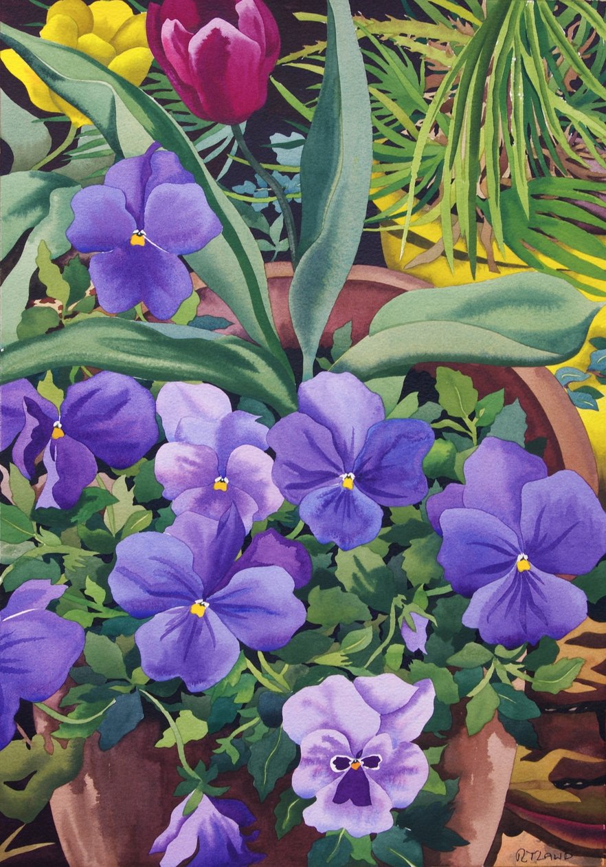 Pots de fleurs avec des pensées, 2007 - Christopher Ryland