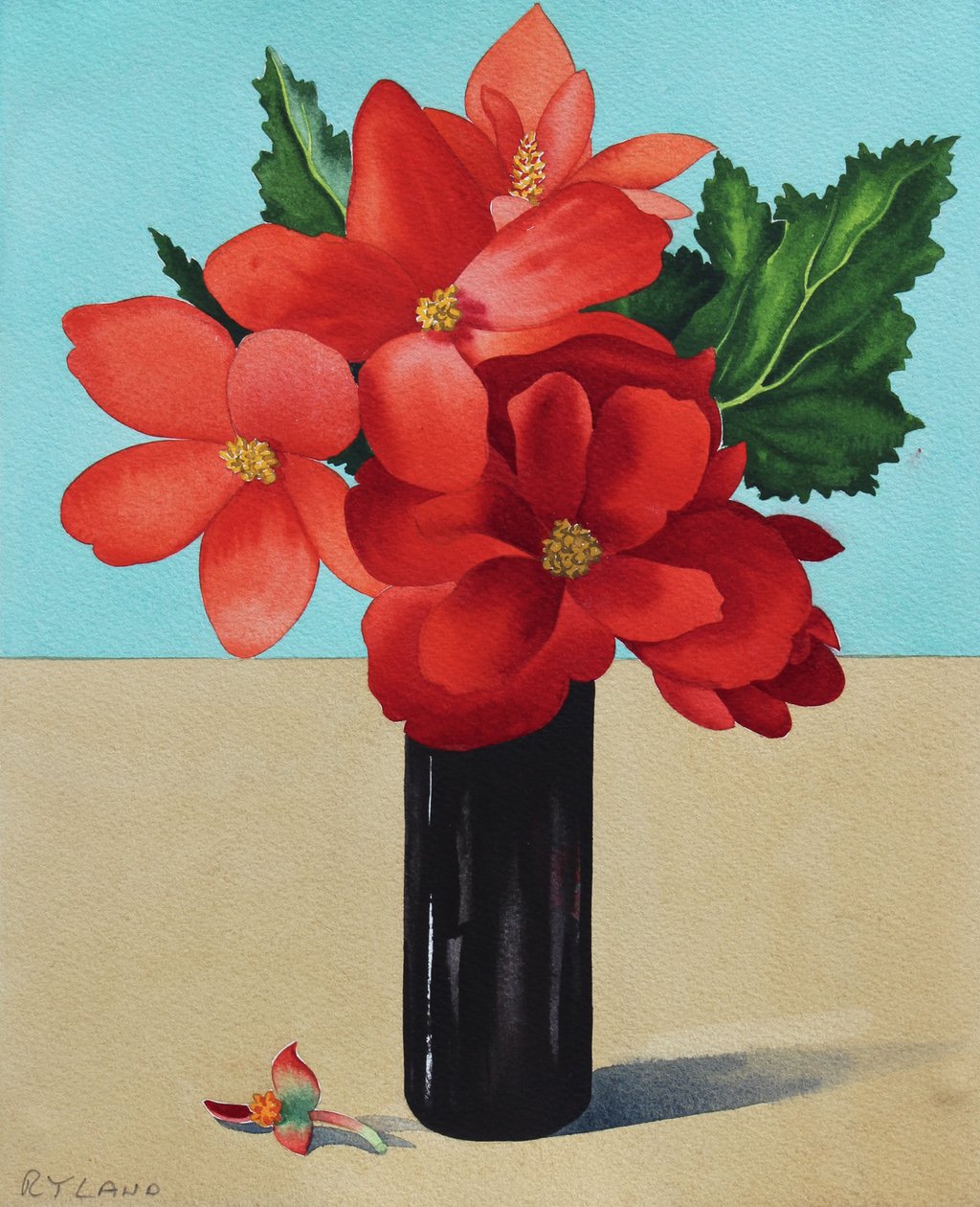 Bégonias Rouges - Christopher Ryland