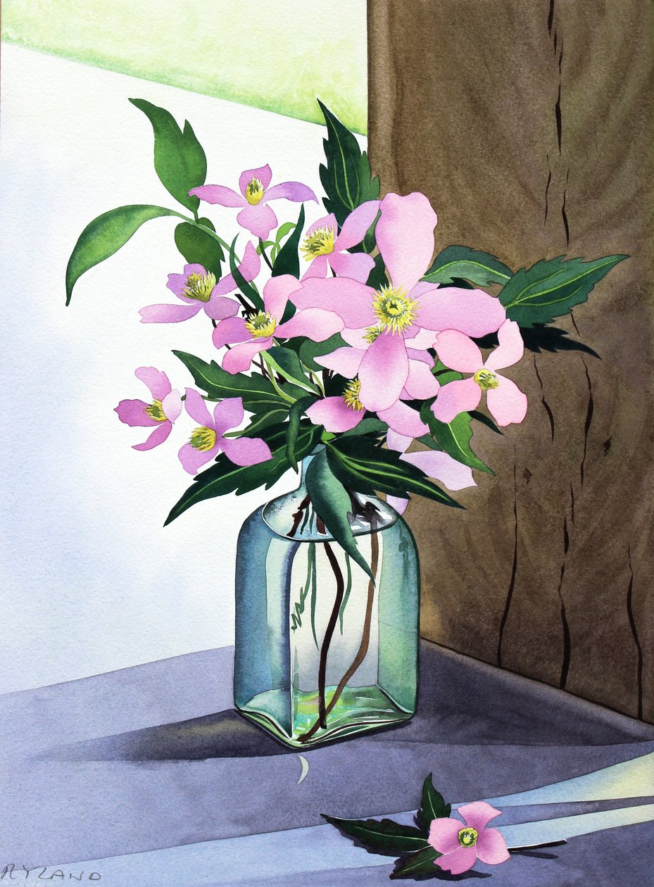 Nature morte Clematis roses - Christopher Ryland