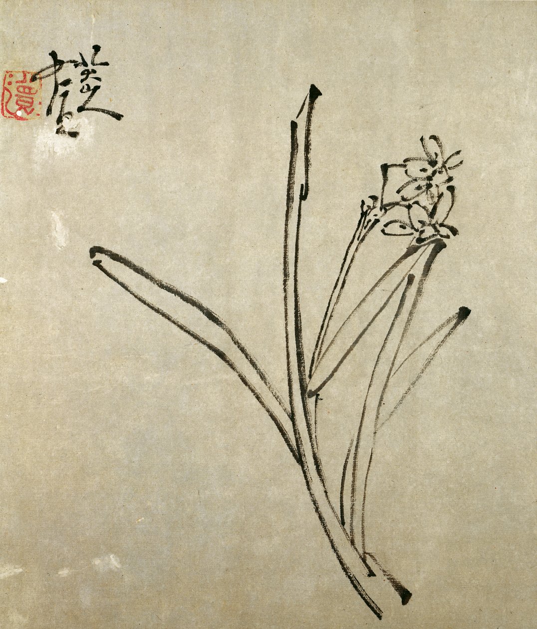 Narcisse - Chu Ta
