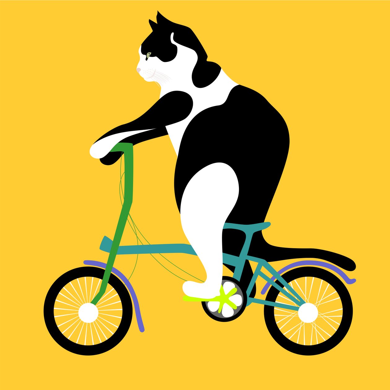 Chat sur un vélo Brompton - Claire Huntley