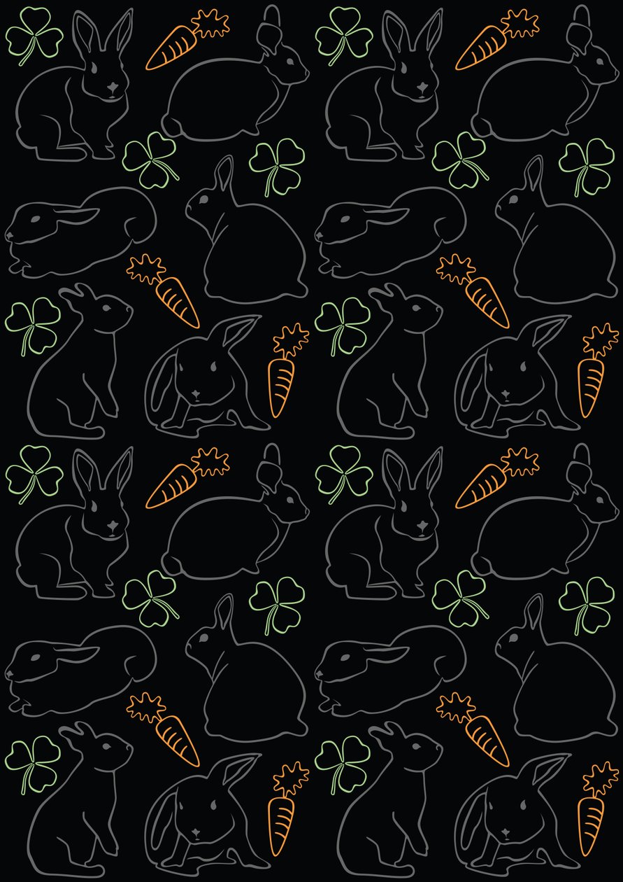 Lapins de nuit - Claire Huntley