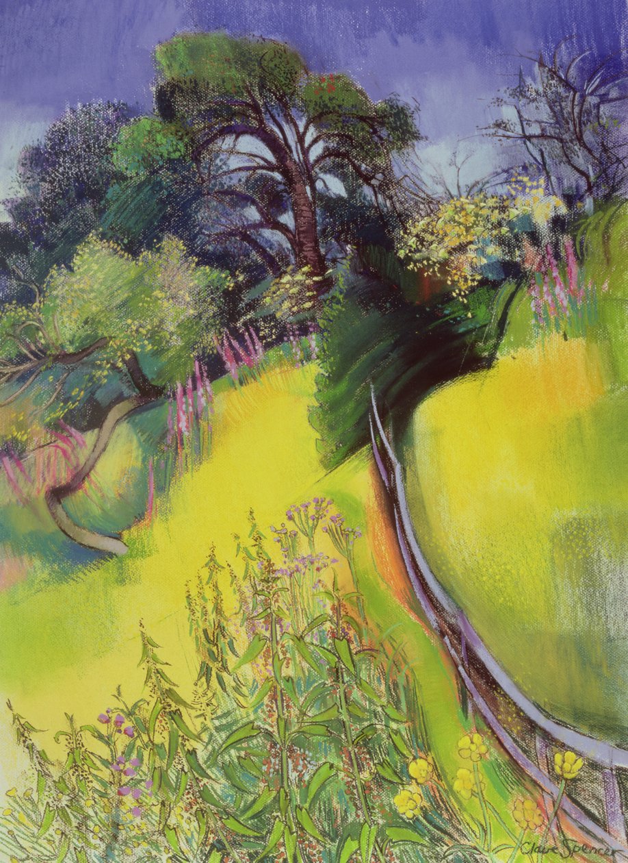 Midsummer - Claire Spencer