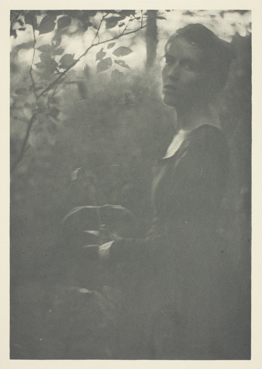 Bord de la forêt - Clarence H. White