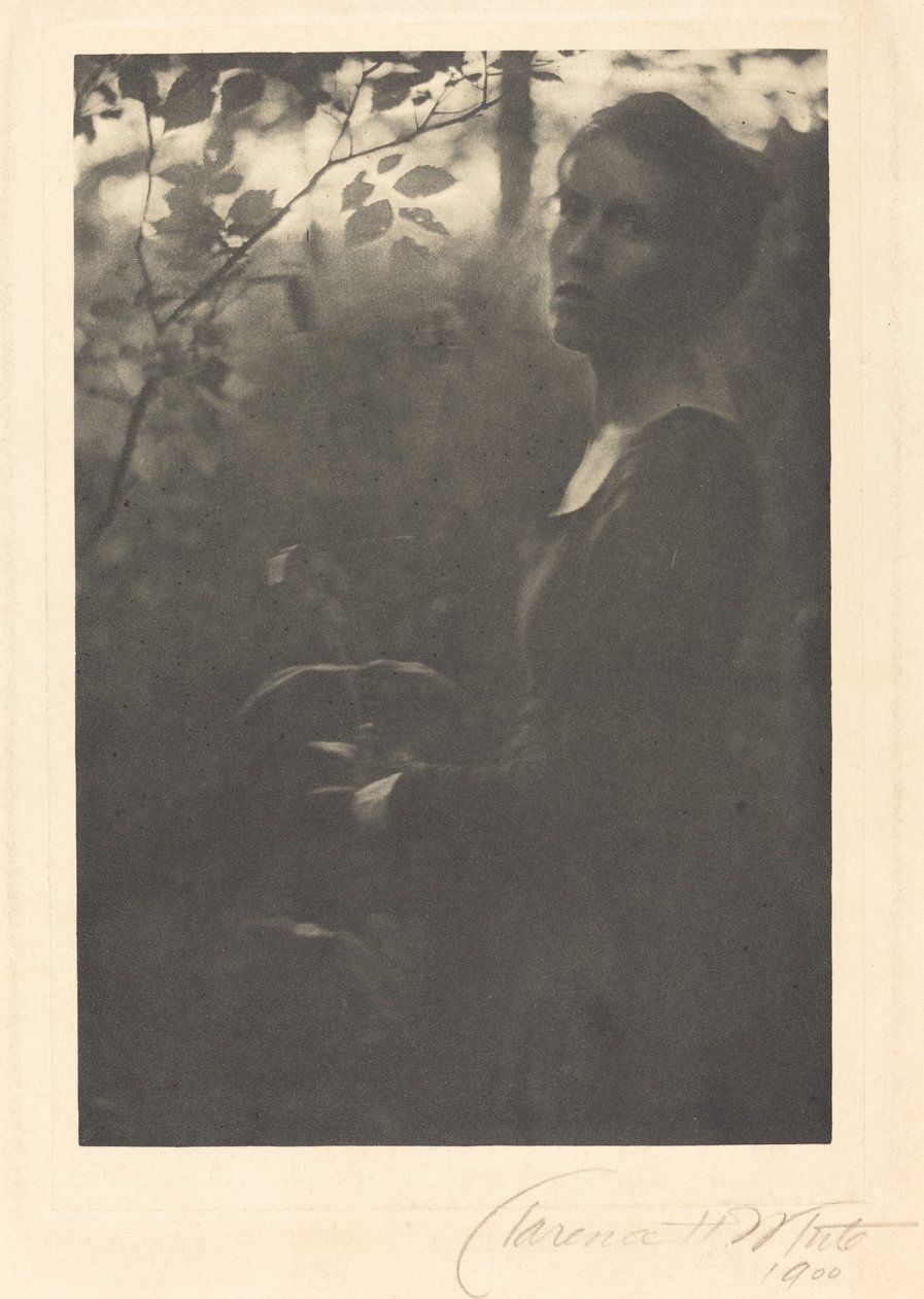 Bord de la forêt, soir - Clarence H. White