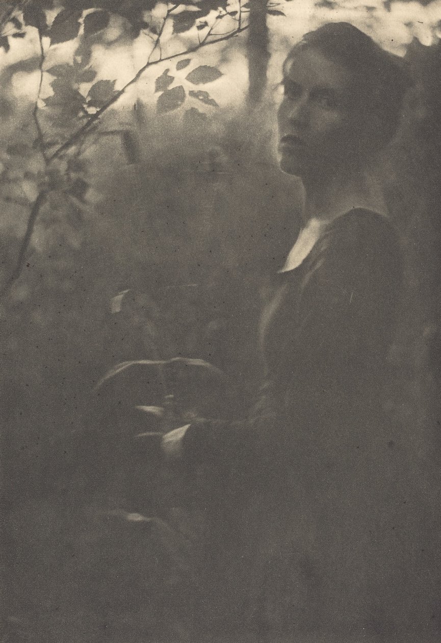 Bord de la forêt, soir, 1900 - Clarence H White