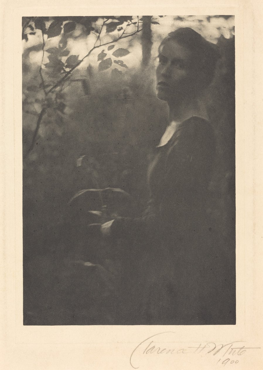 La lisière des bois, le soir, 1900 (photo) - Clarence Henry White