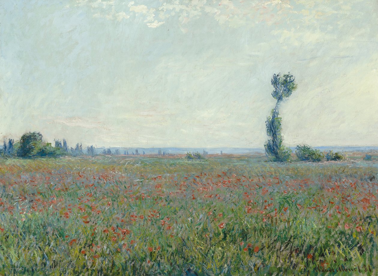 Champ de coquelicots - Claude Monet
