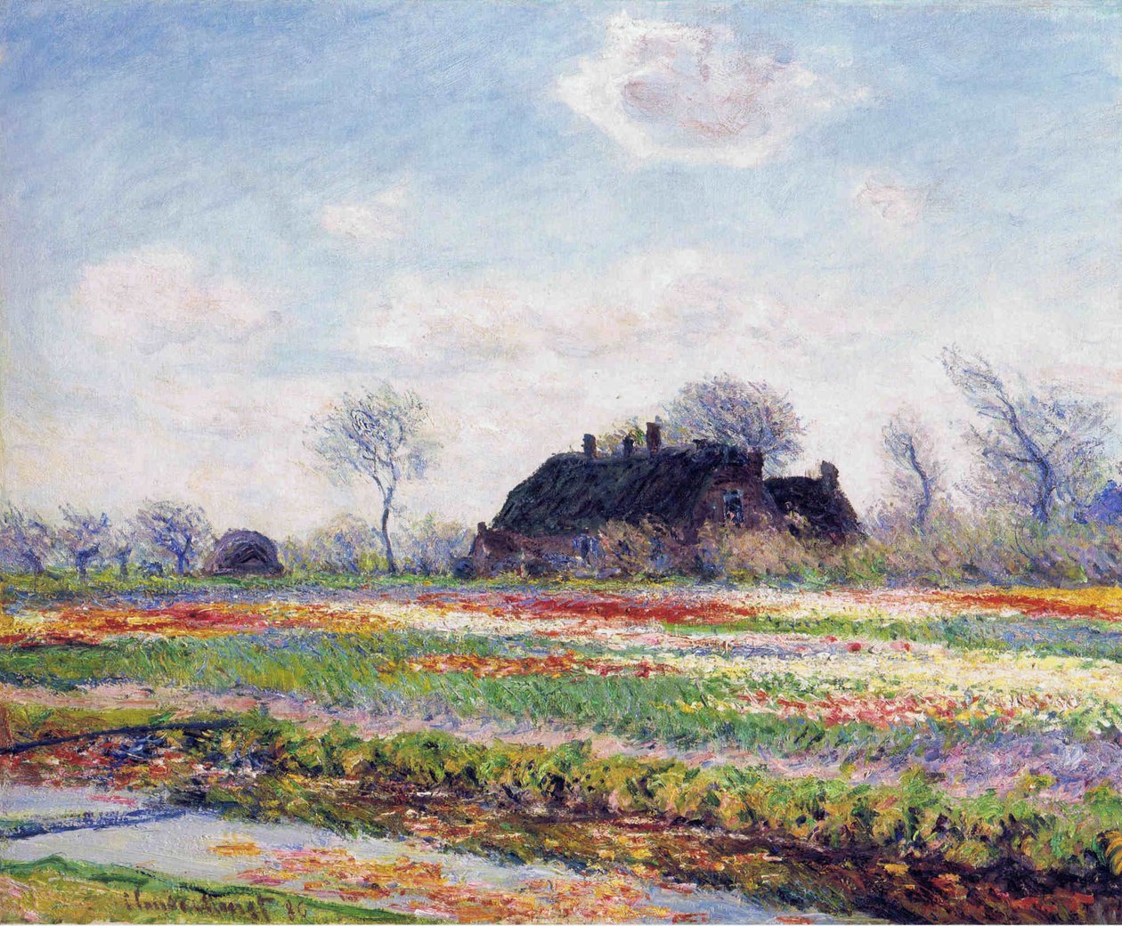 Champs de tulipes à Sassenheim - Claude Monet
