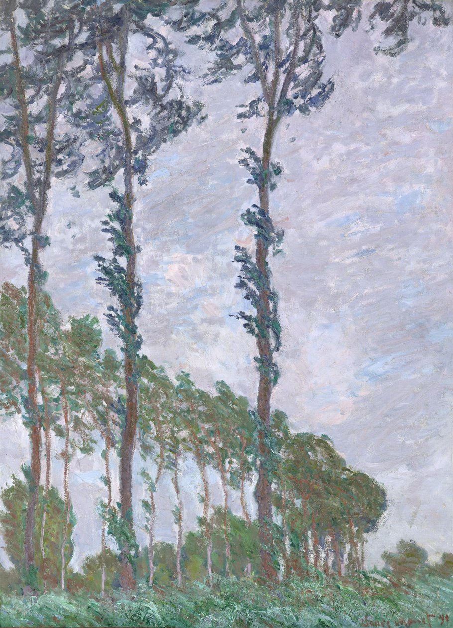 Effet de vent, série des Peupliers - Claude Monet