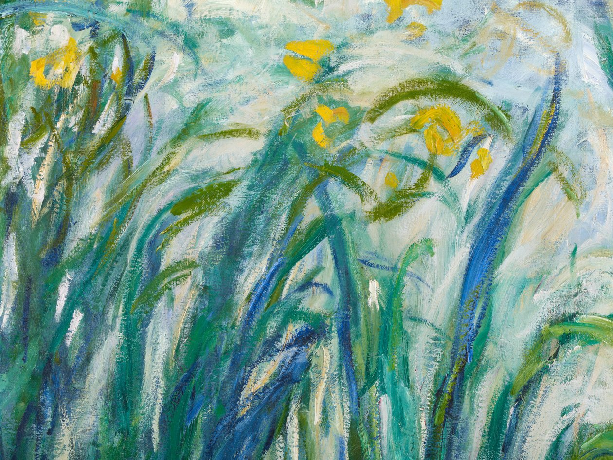 Iris jaunes et violets, 1924-25 (détail) - Claude Monet