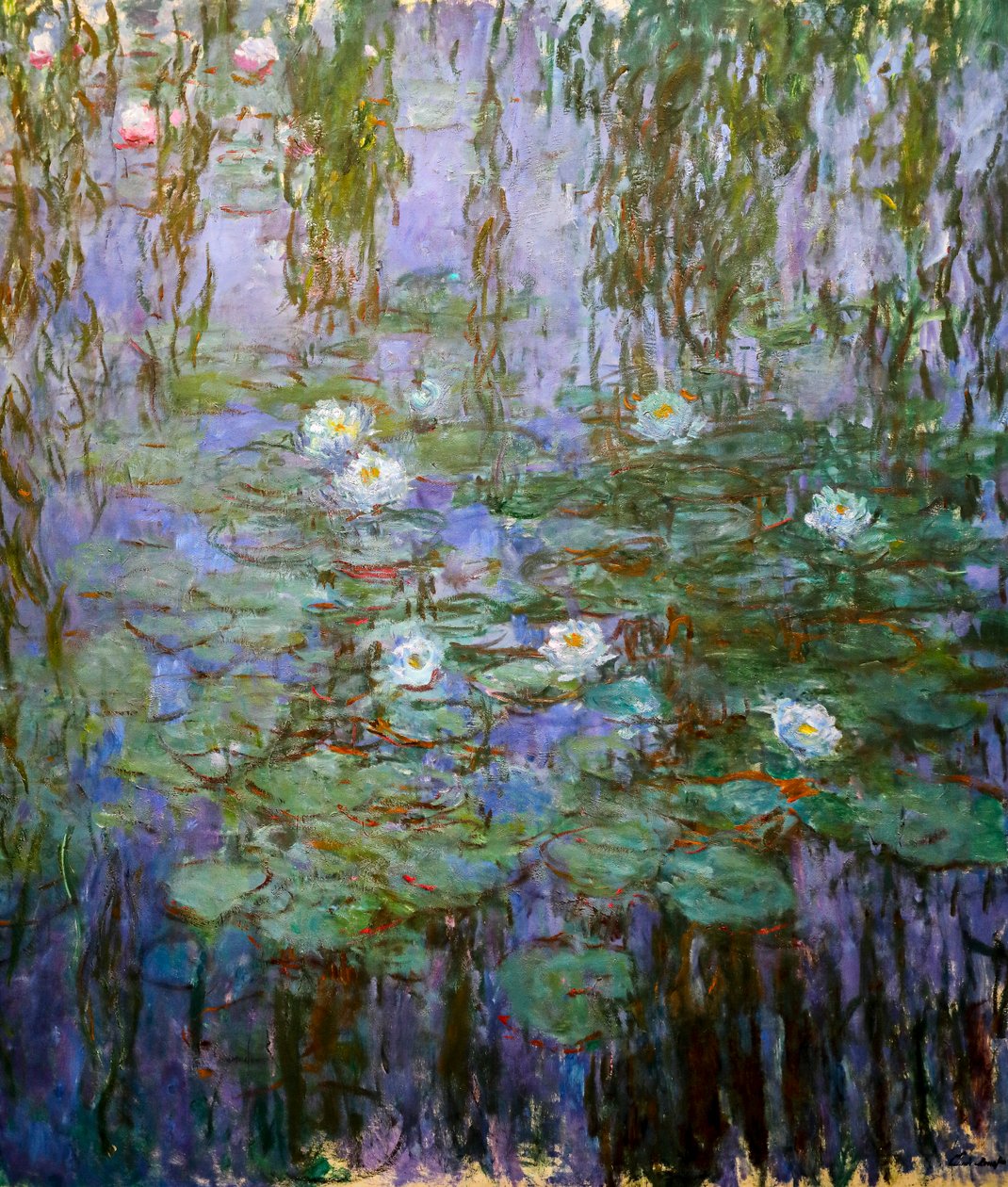 Nymphéas bleus (détail) - Claude Monet
