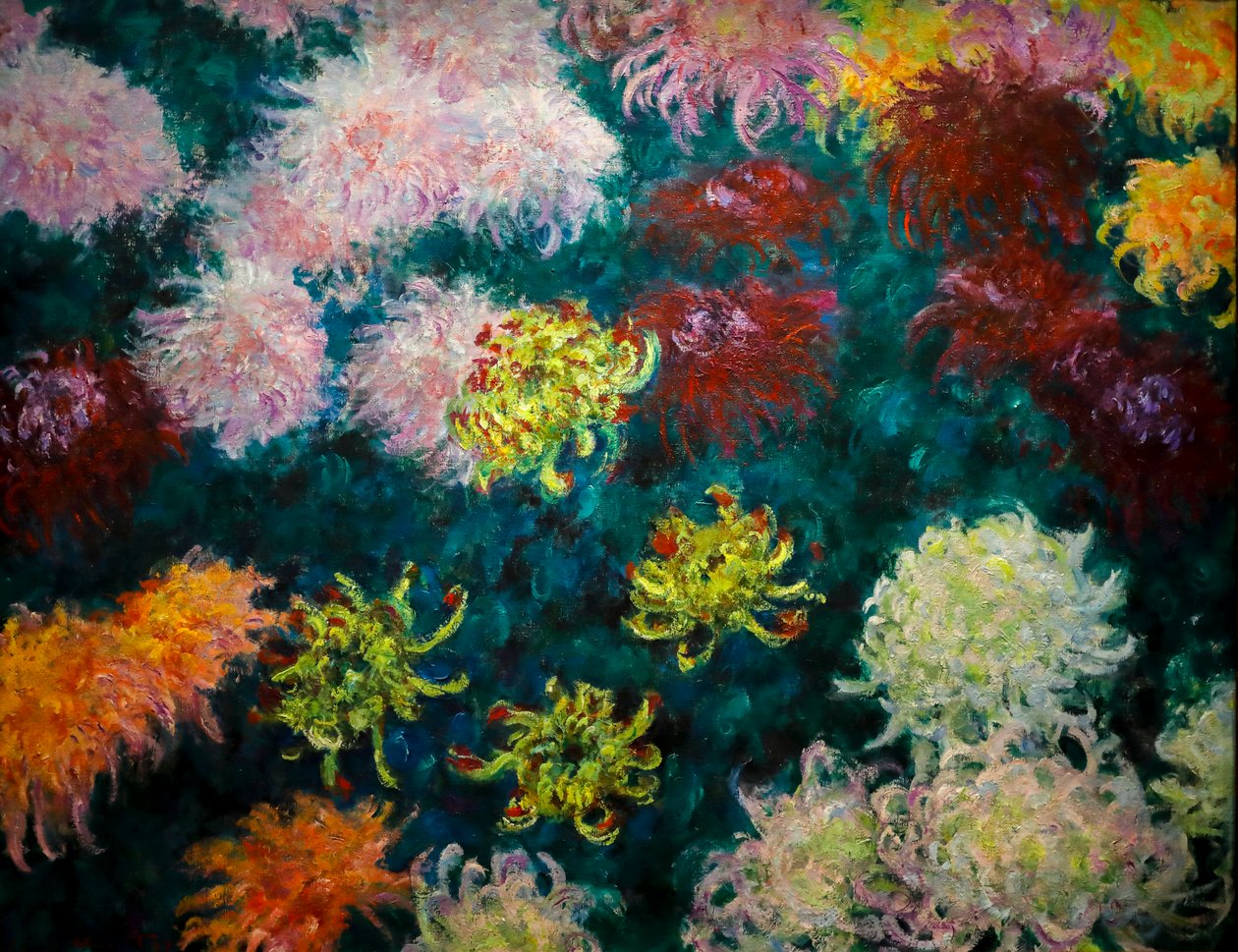 Parterre de chrysanthèmes - Claude Monet