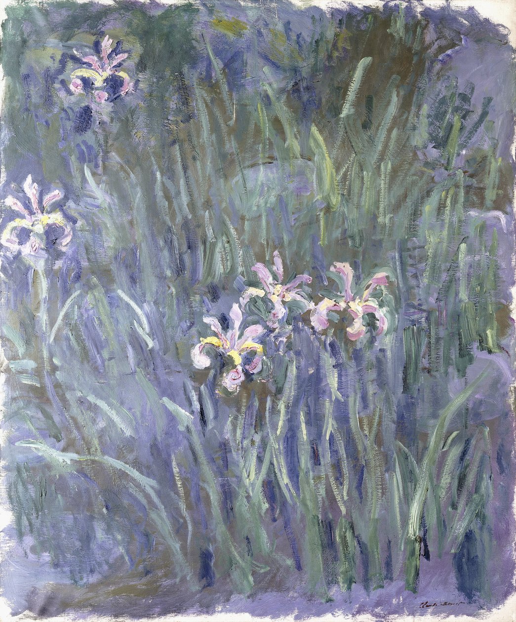 Iris - Claude Monet