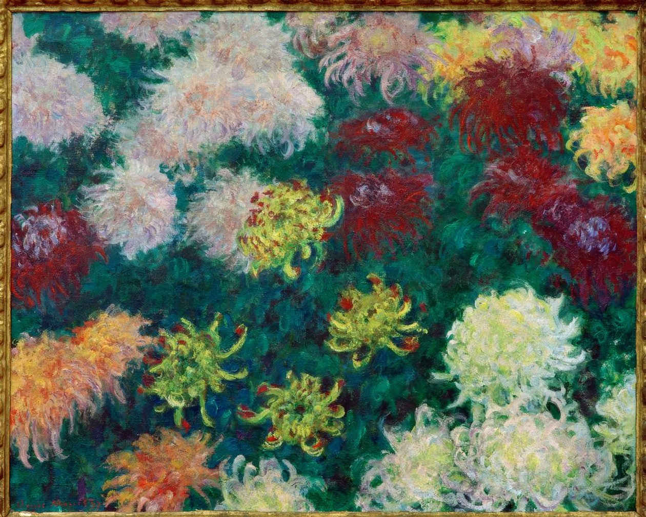 Massif de chrysanthèmes - Claude Monet
