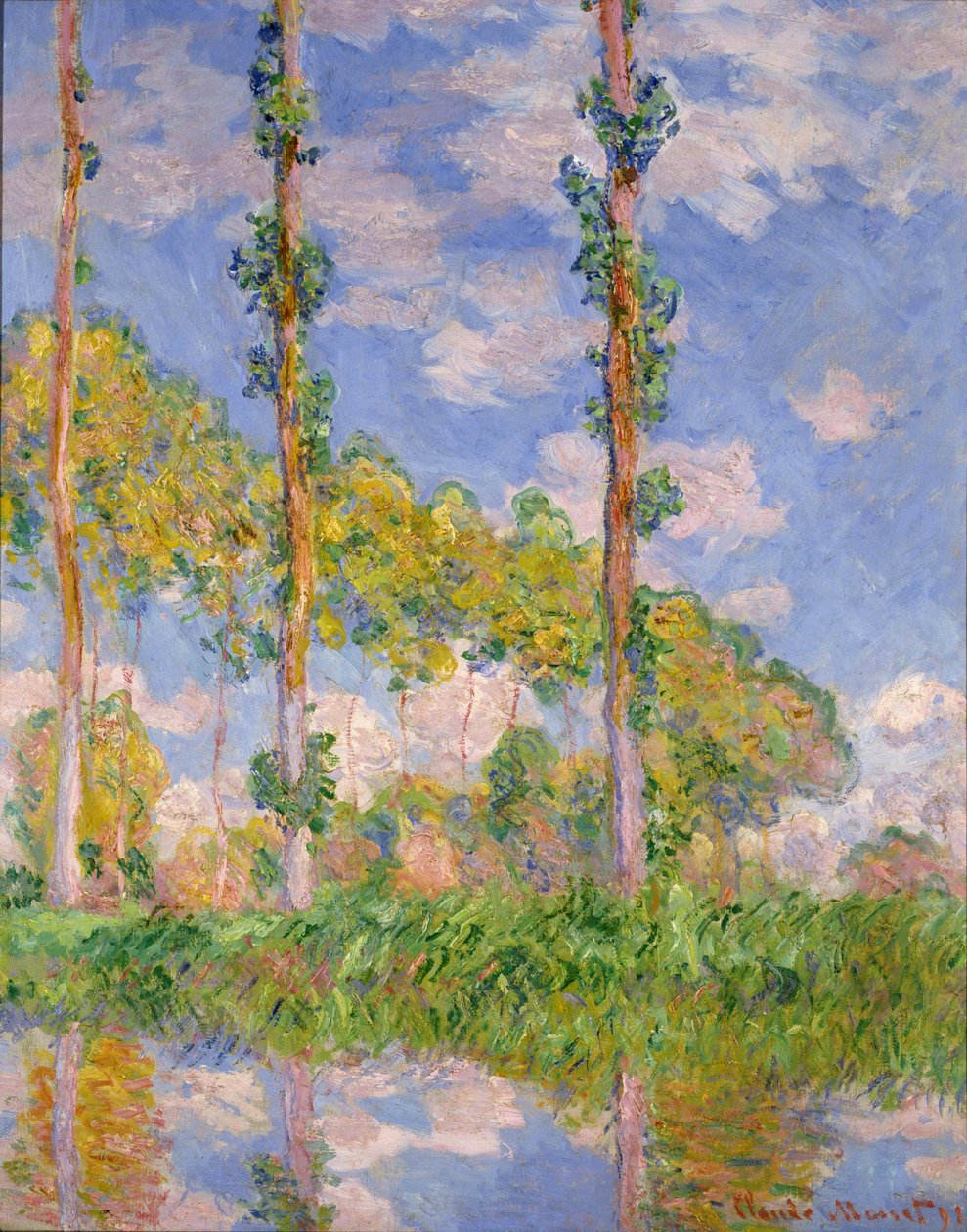Peupliers au soleil - Claude Monet