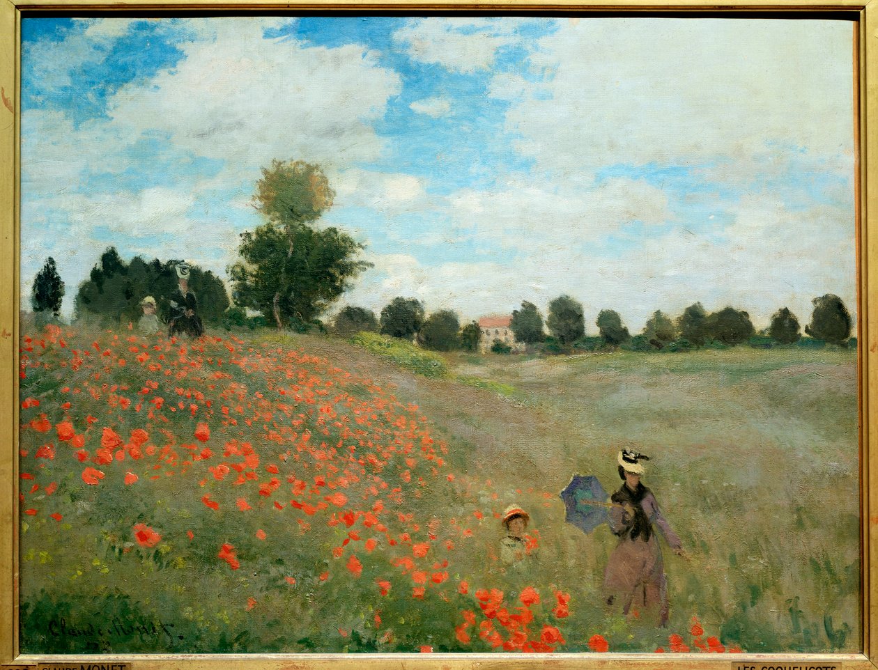 Coquelicots, près d
