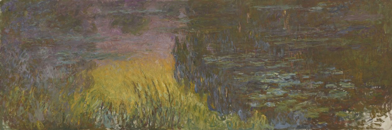 Les Nymphéas - Soleil couchant - Claude Monet